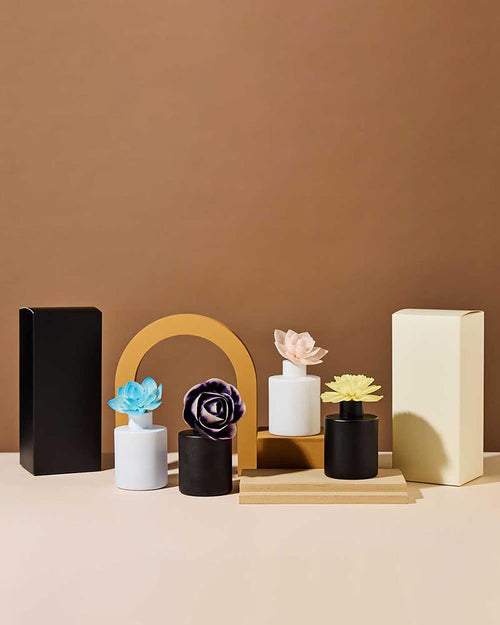 5oz Mod Reed Diffuser Set (Pack of 12)