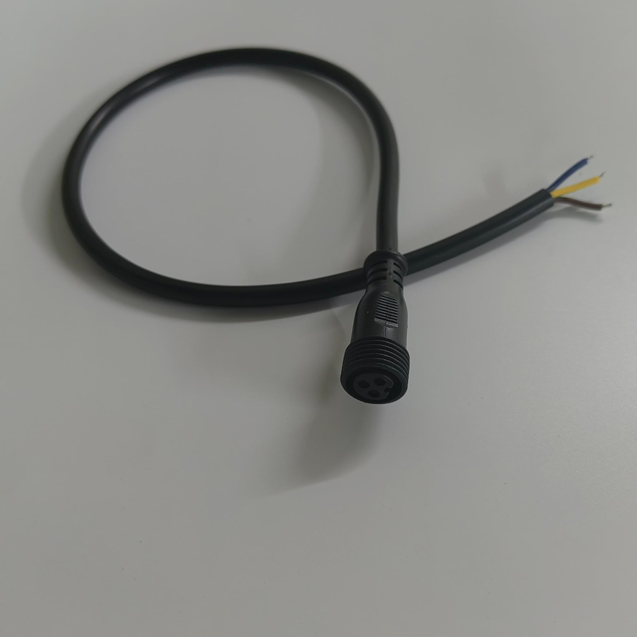 Pigtail Ray Wu