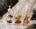 Earth Trio