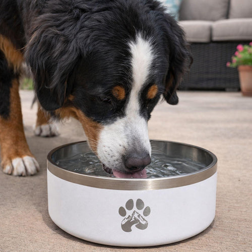 Cold water, clean bowl, great design — the dog bowl you’re actually proud to leave out